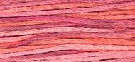 Weeks Dye Works Floss 4153 Berry Splash-5yds